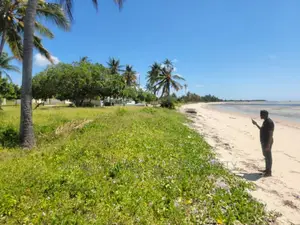 Beach Plot for Sale USD 800,000 at Kilwa Plot With 8 Acres
