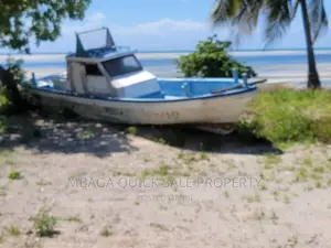 Beach Plot for Sale USD 800,000 at Kilwa Plot With 8 Acres