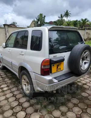 Suzuki TL 2002 Silver