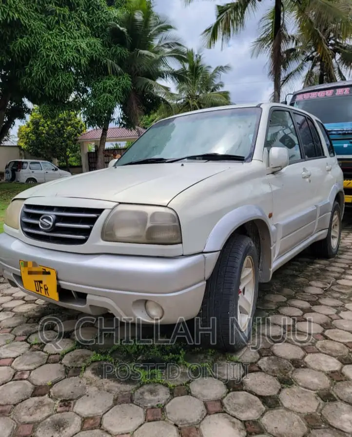 Suzuki TL 2002 Silver