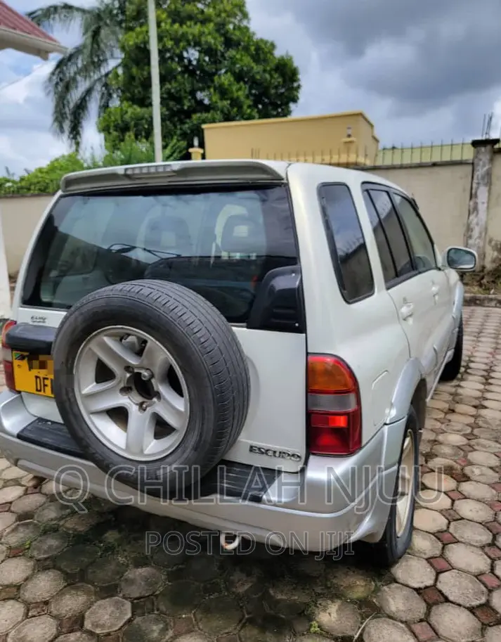 Suzuki TL 2002 Silver