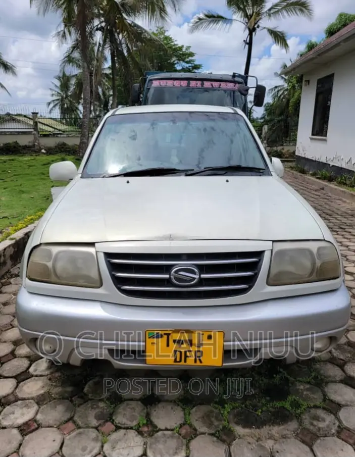 Suzuki TL 2002 Silver