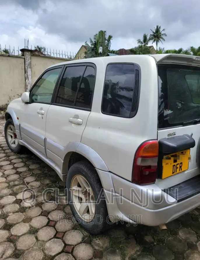 Suzuki TL 2002 Silver
