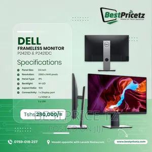 Classic Dell P24 Monitor