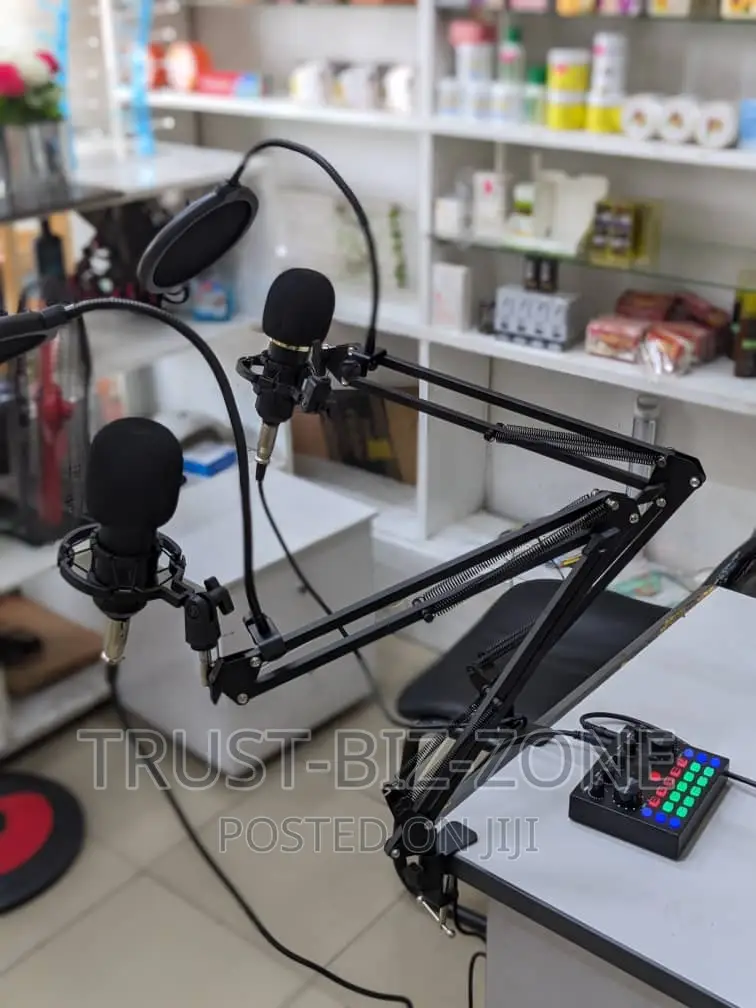 Studio Recording Kit Set 2microphone