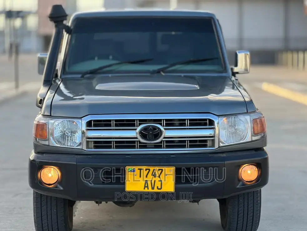 Toyota Land Cruiser 1995 Gray