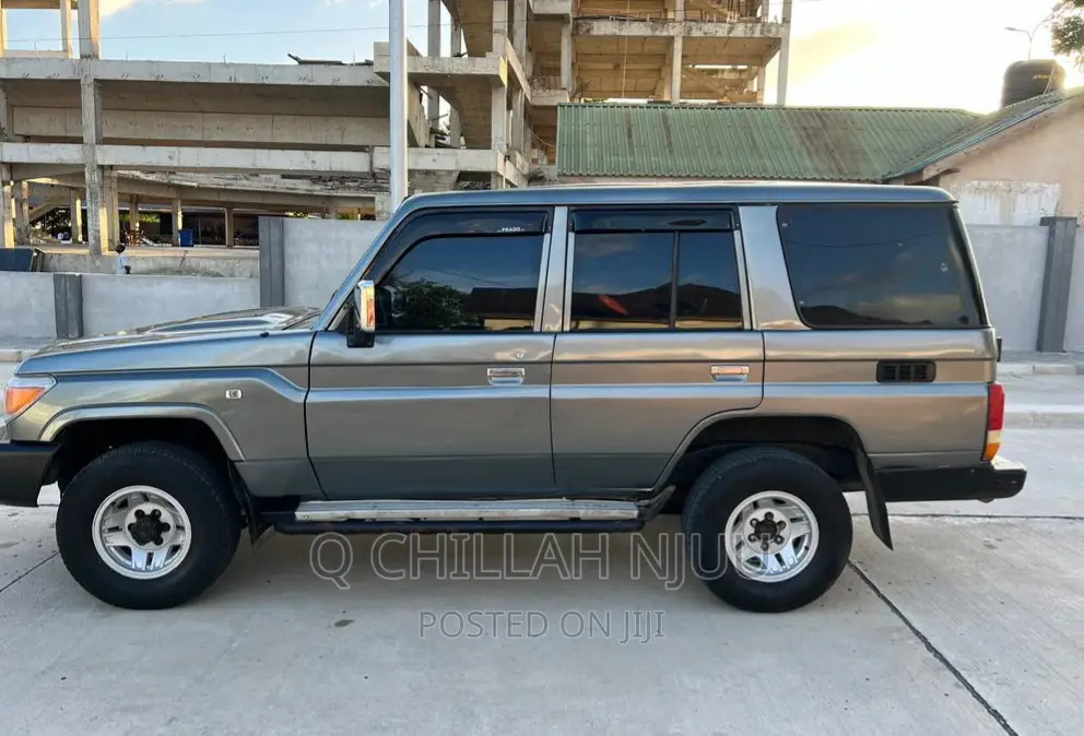 Toyota Land Cruiser 1995 Gray