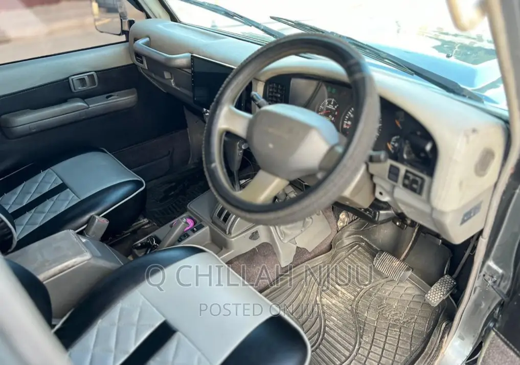 Toyota Land Cruiser 1995 Gray