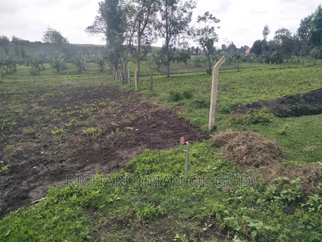 1800 SQM Plot in Ngaramton-Habari Maalum for Sale