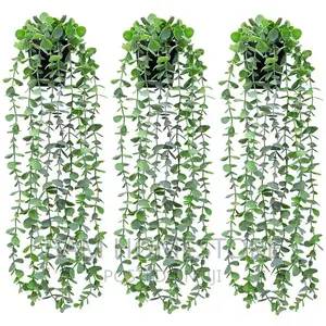 Hanging Flowers