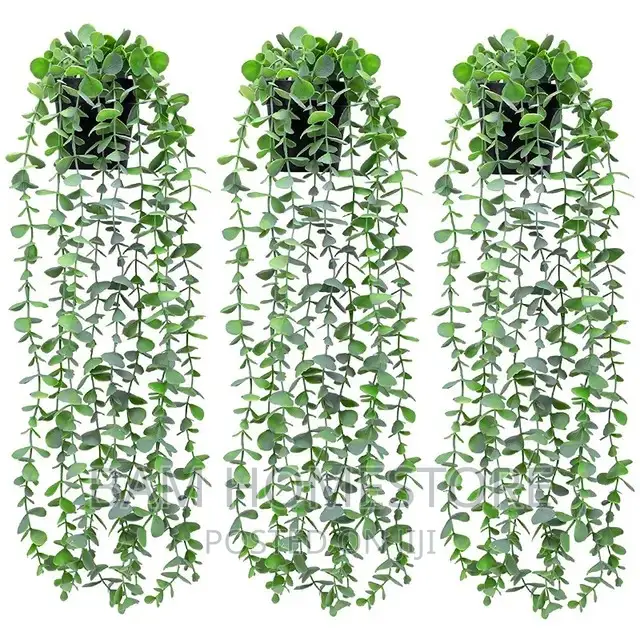 Hanging Flowers