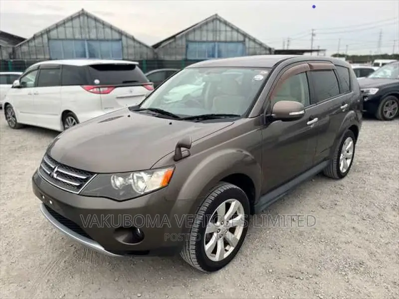 Mitsubishi Outlander 2010 Brown