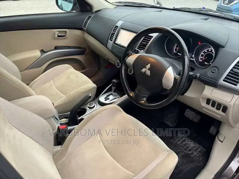 Mitsubishi Outlander 2010 Brown