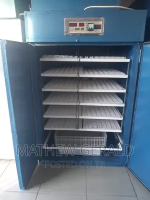 Eggs Incubators