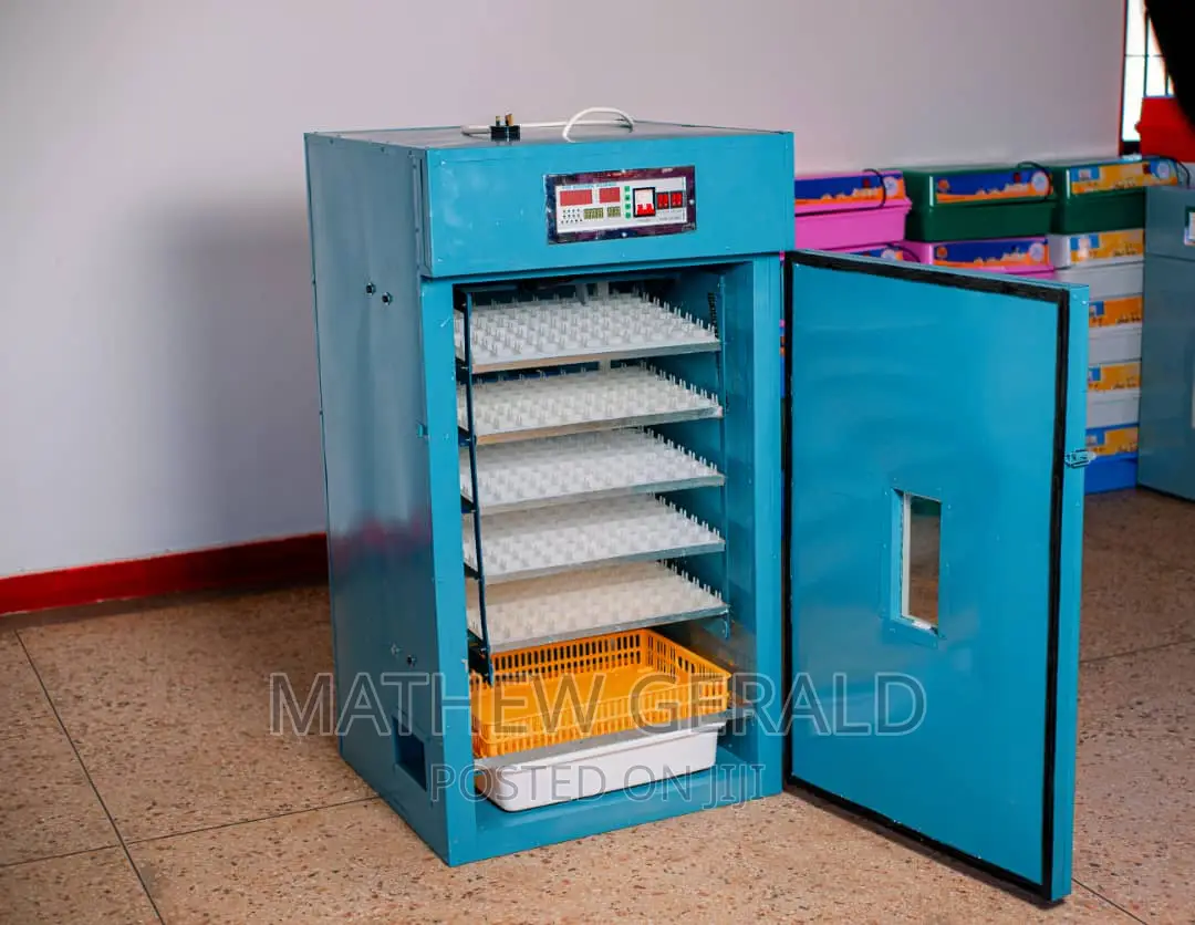 Eggs Incubators