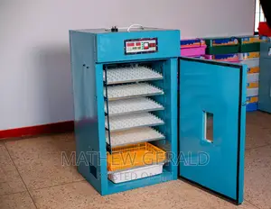 Eggs Incubators