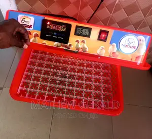 Eggs Incubators