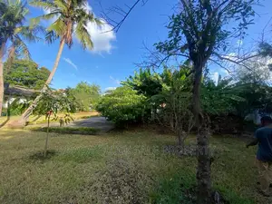 Ownership Plot for Sale Oyster Bay