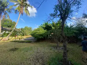 Oysterbay Plot for Sale