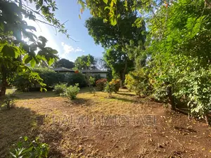 Oysterbay Plot for Sale