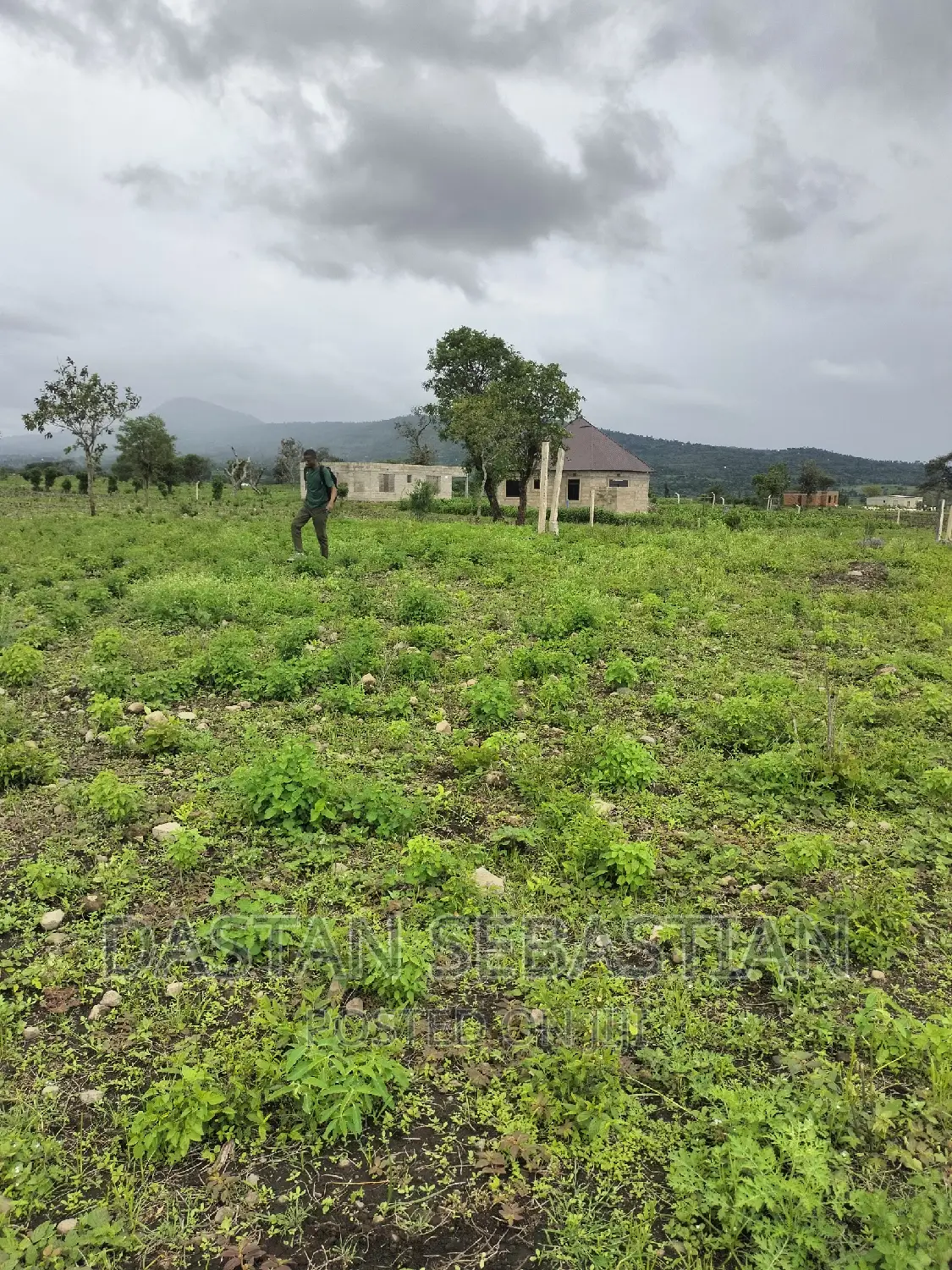 Viwanja Vimepimwa Kisheria Arusha Na Kilimanjaro