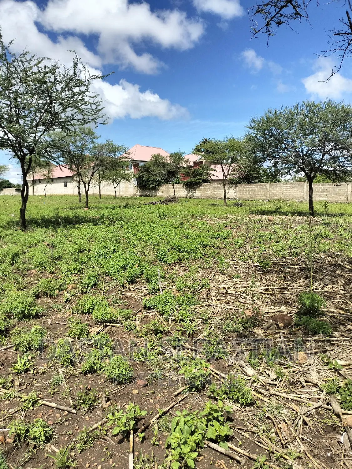 Land for Sale Arusha and Kilimanjaro