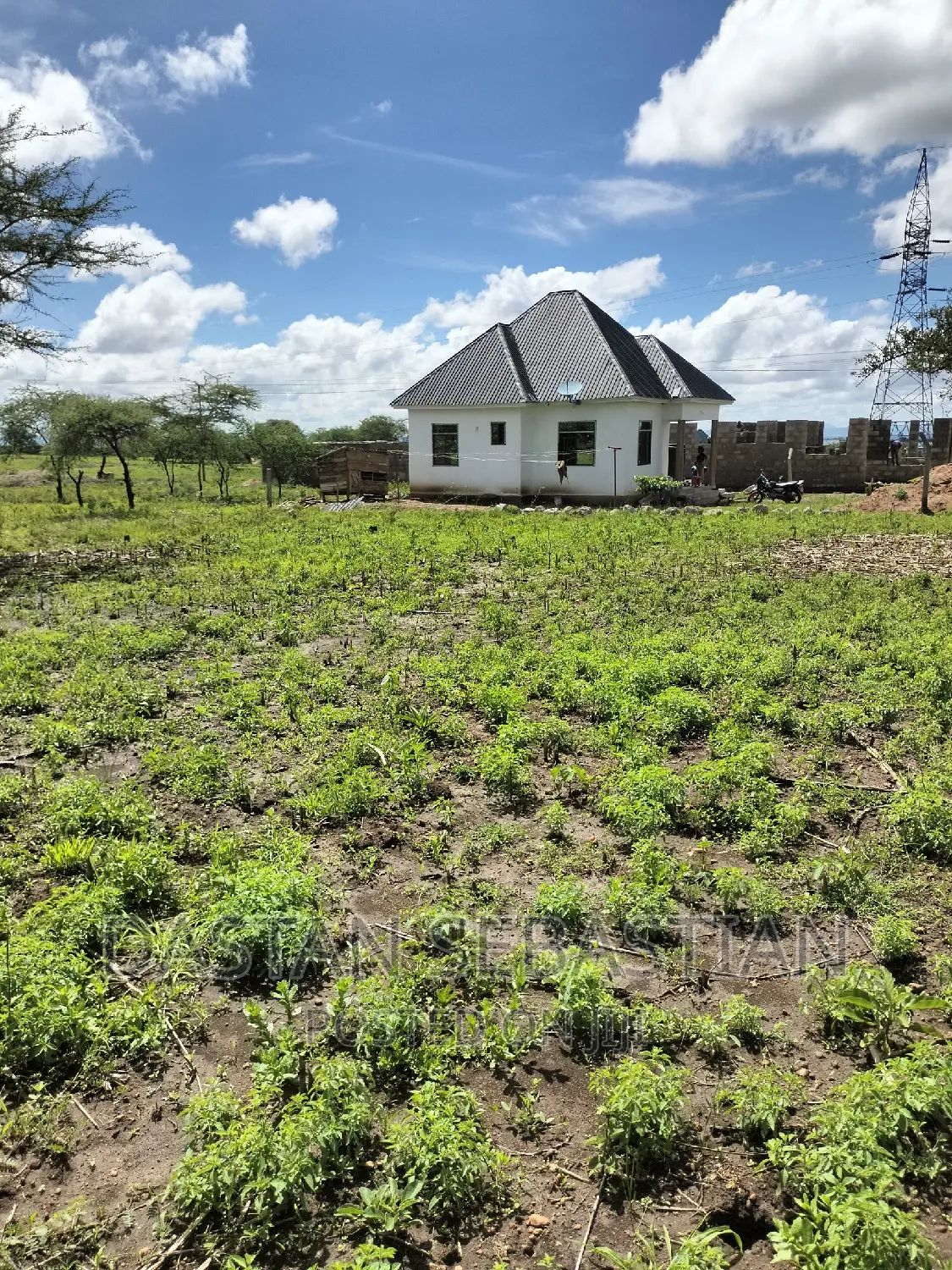 Land for Sale Arusha and Kilimanjaro