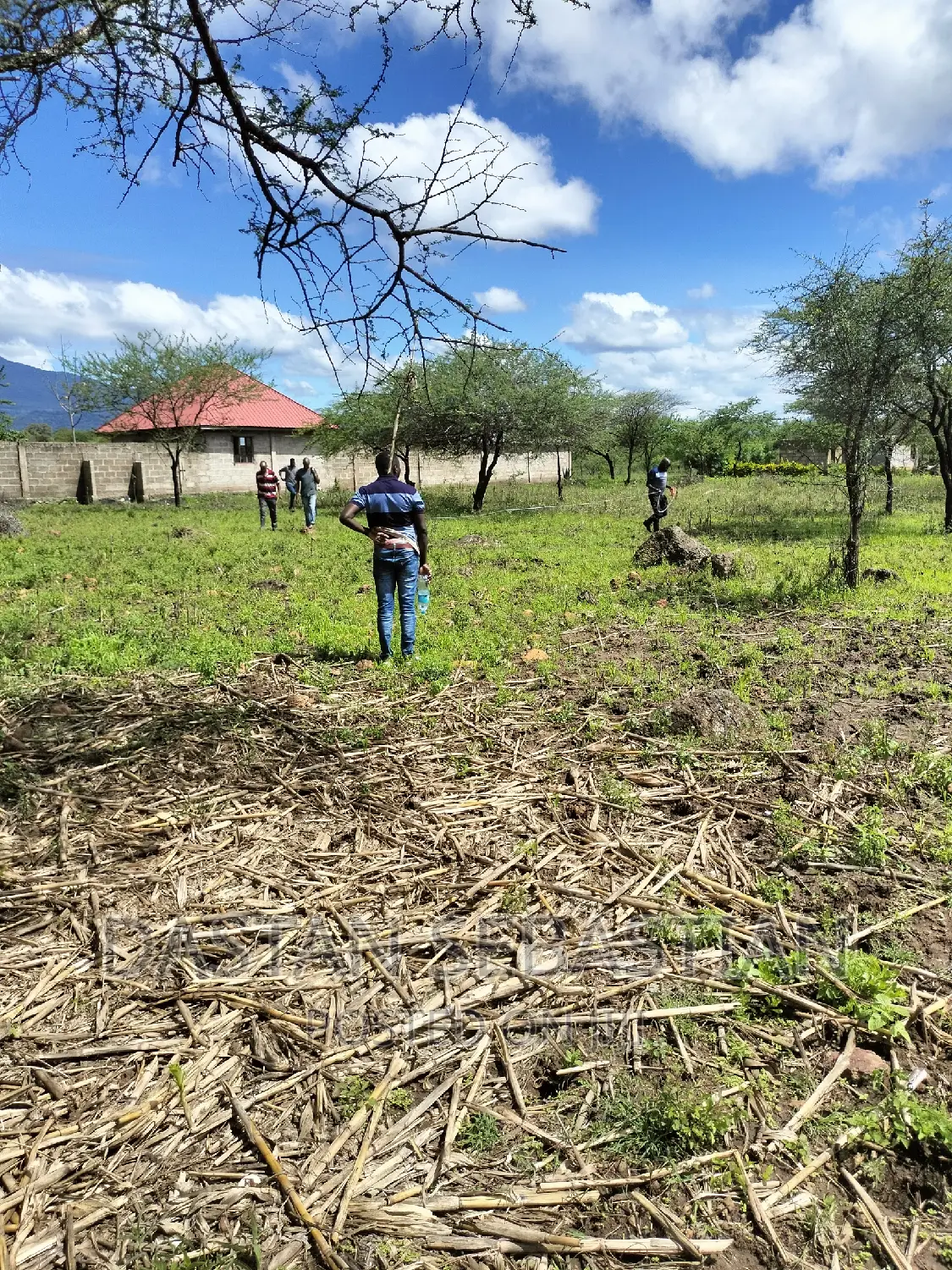 Land for Sale Arusha and Kilimanjaro