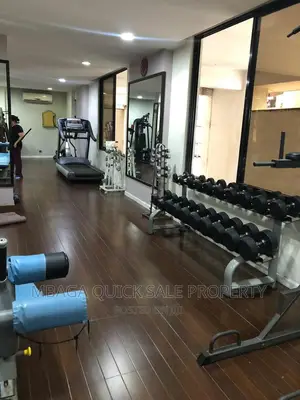 Furnished 2bdrm Apartment in Upanga for rent