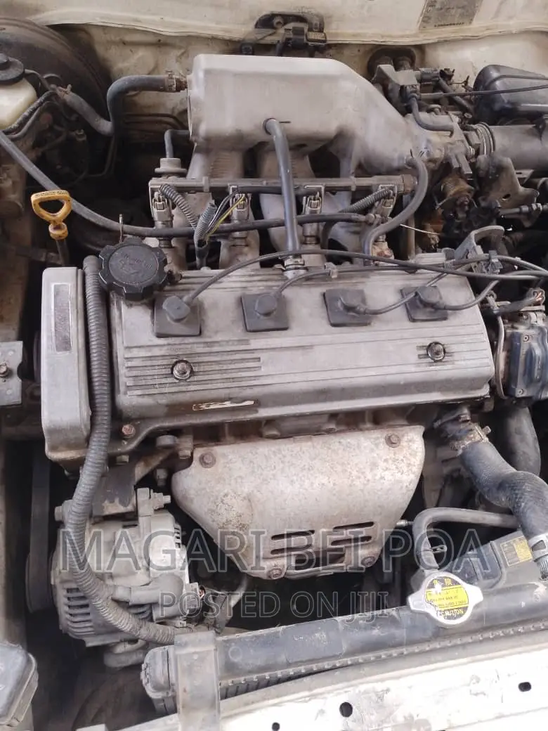Toyota Corolla 2004 White