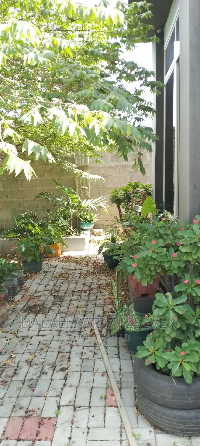 2bdrm Apartment in Dalalipapaatzseven, Mbweni for rent