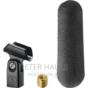 AT875R - Line + Gradient Condenser Microphone