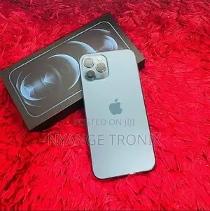 New Apple iPhone 12 Pro Max 256 GB Blue