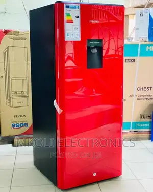 HISENSE Friji With Water Dispenser
