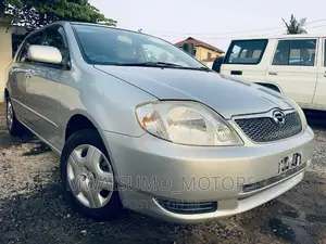 Toyota Corolla RunX 2003 Silver