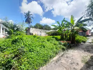 Photo - Plot for Sale at Kibanda Cha Mkaa