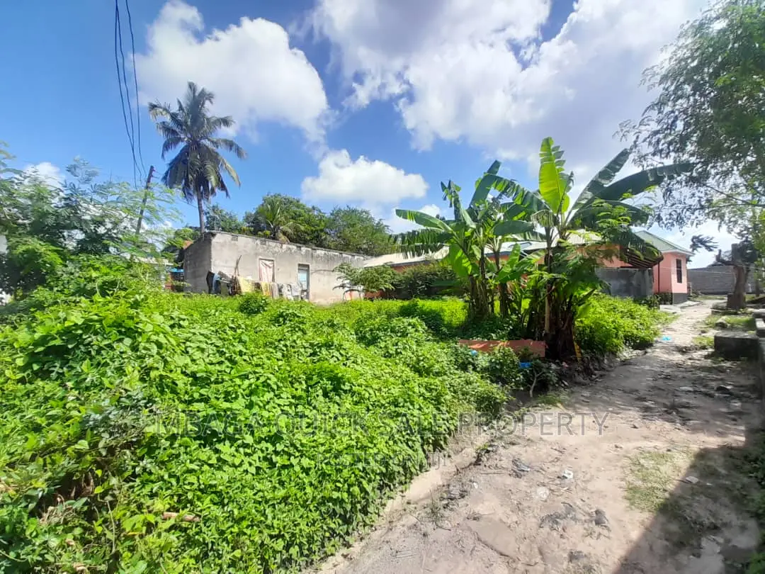 Plot for Sale at Kibanda Cha Mkaa