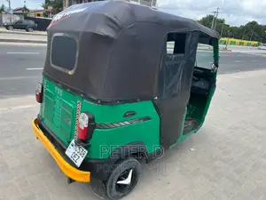 TVS Zeppelin 220 2023 Green
