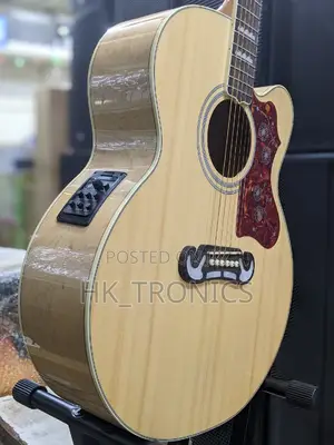Gibson Guitar