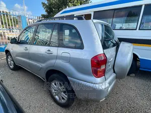 Toyota RAV4 2004 Gray