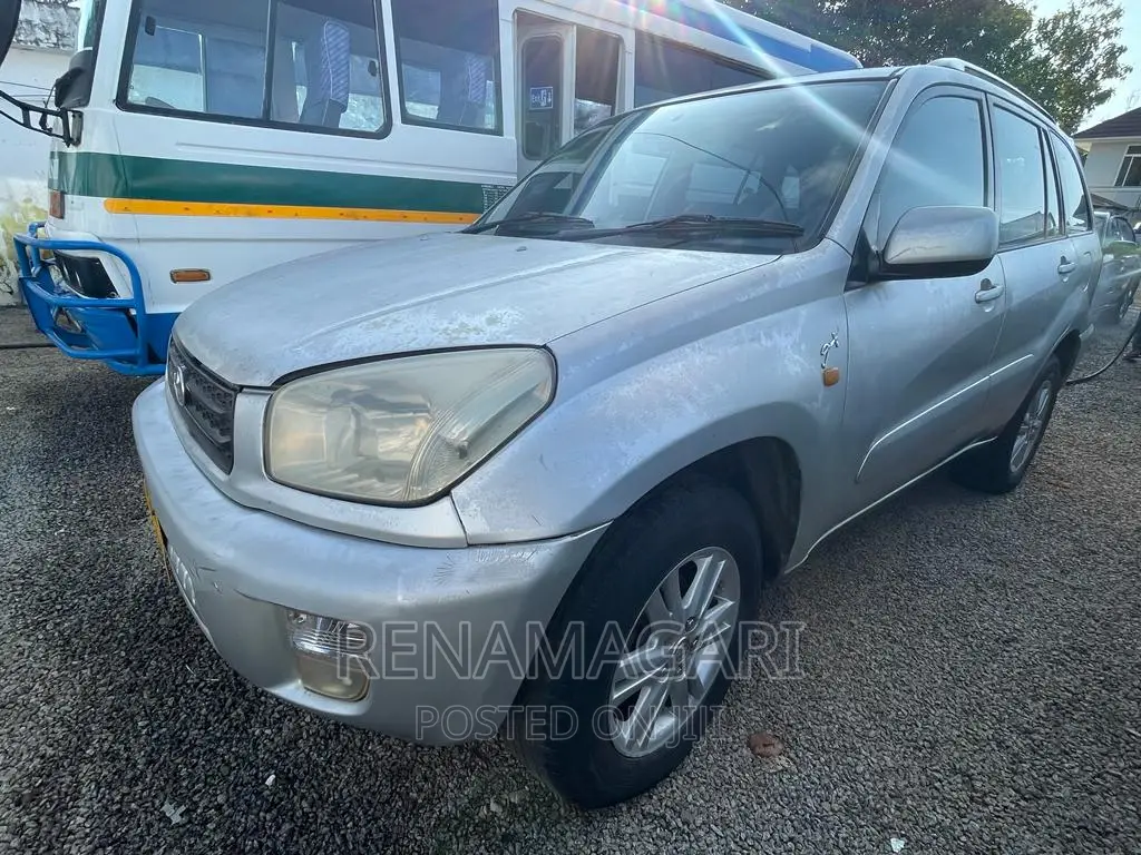 Toyota RAV4 2004 Gray