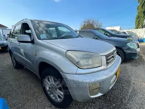 Toyota RAV4 2004 Gray