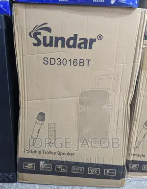 Sundar Portable Trolley Speaker