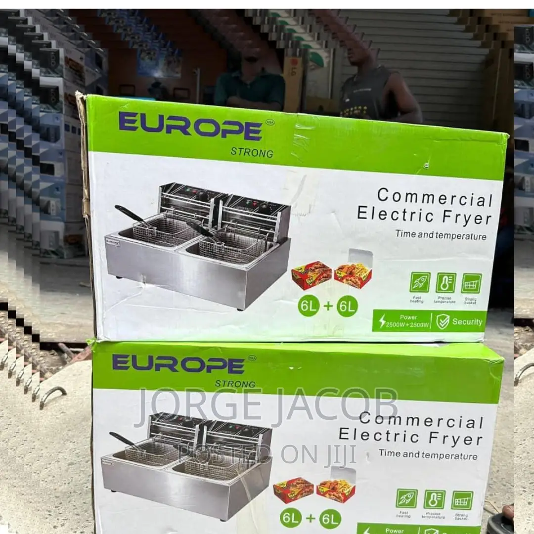 12L Capacity Commercial Electric Fryer