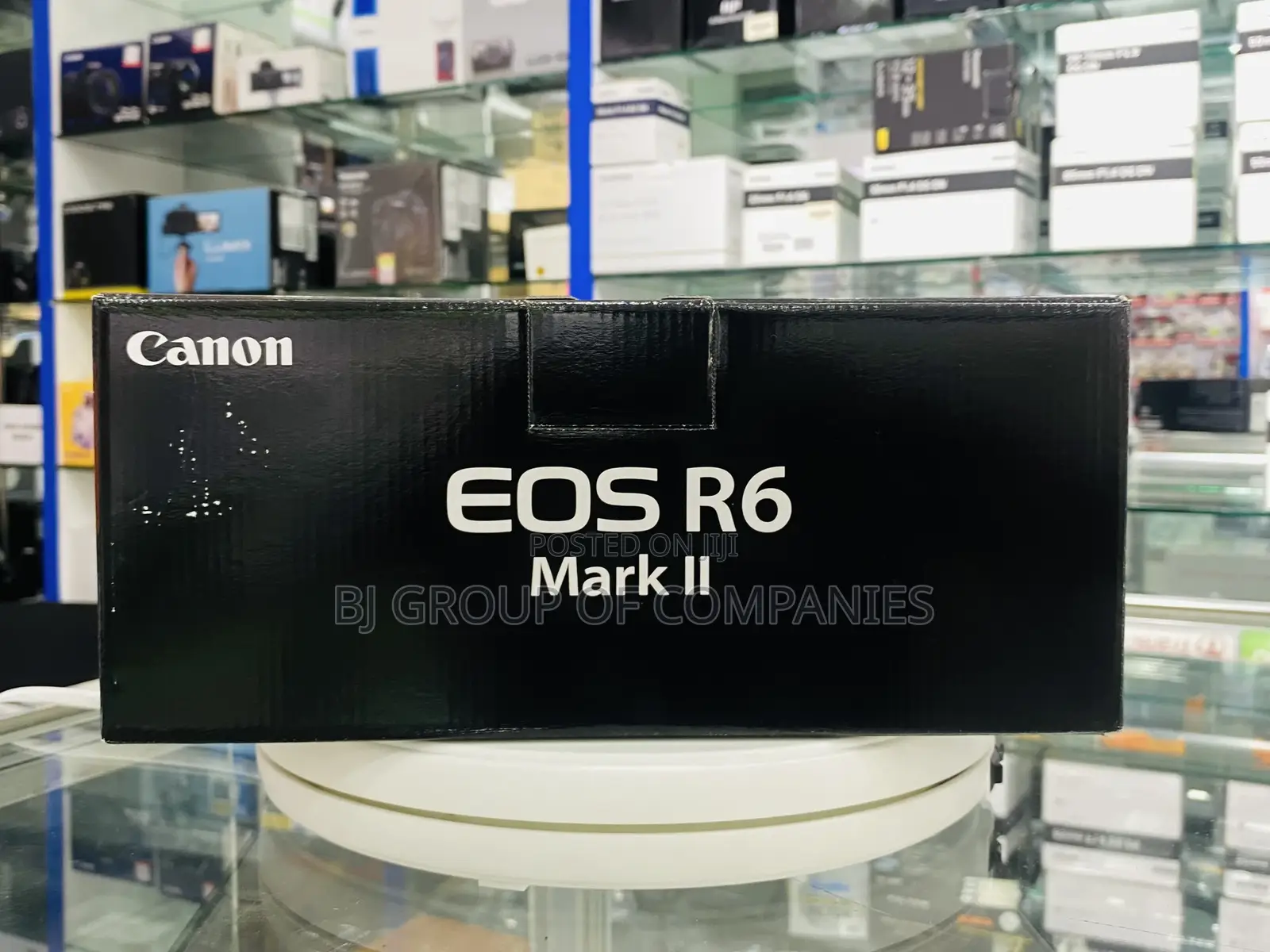 Canon EOS R6 Mirrorless Camera