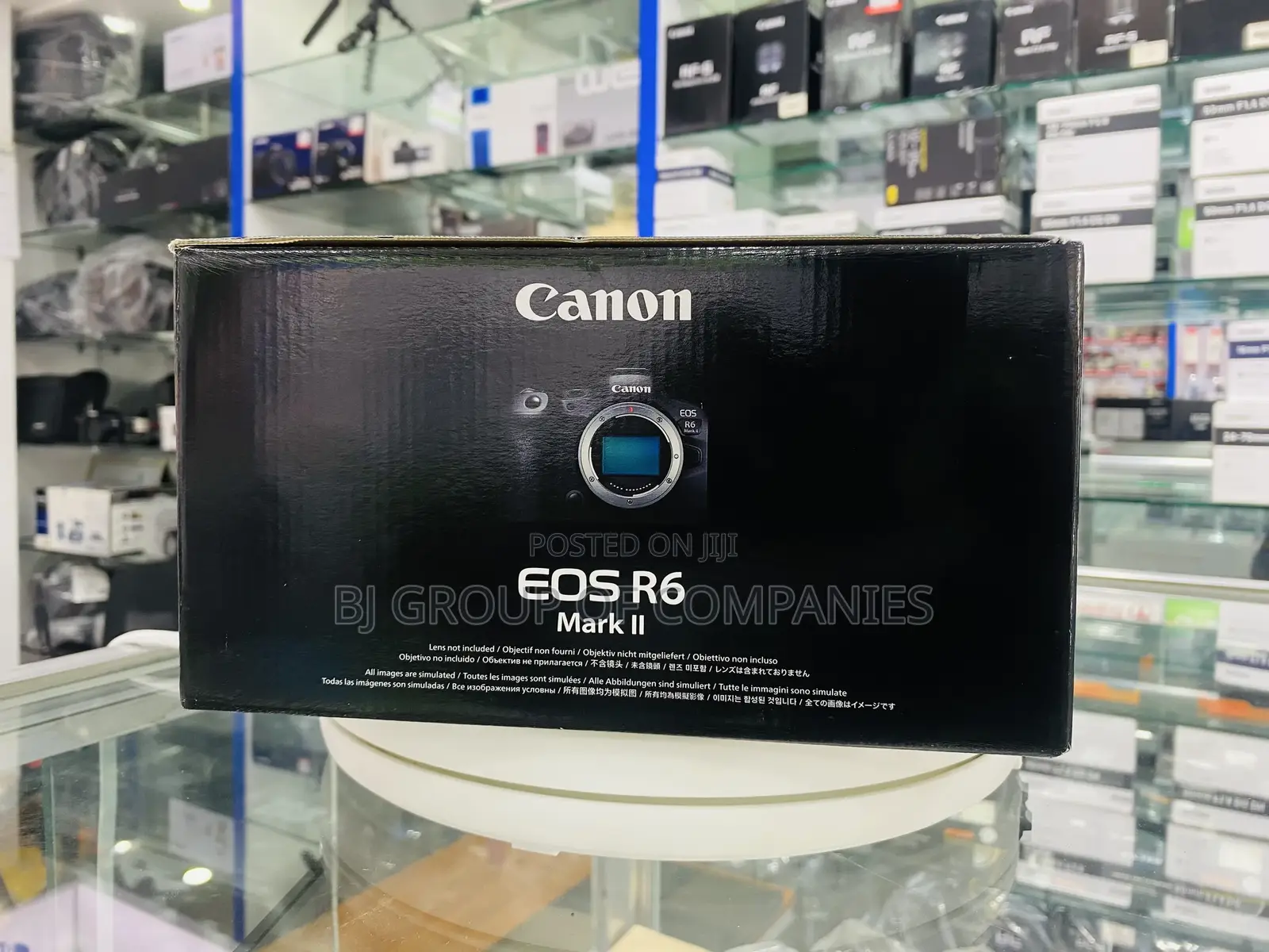 Canon EOS R6 Mirrorless Camera