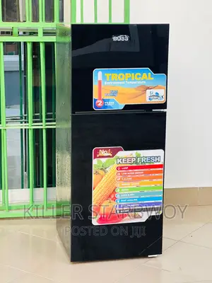 Fridge Lita 118 Boss