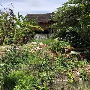 Plot for Sale at Mikocheni