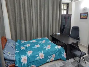 Furnished 1bdrm Shared Apartment in Kariakoo for rent