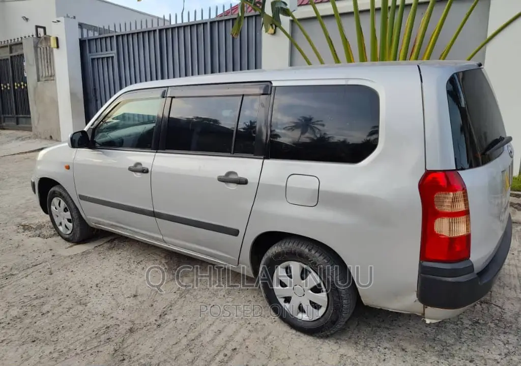 Toyota Probox 2003 Silver